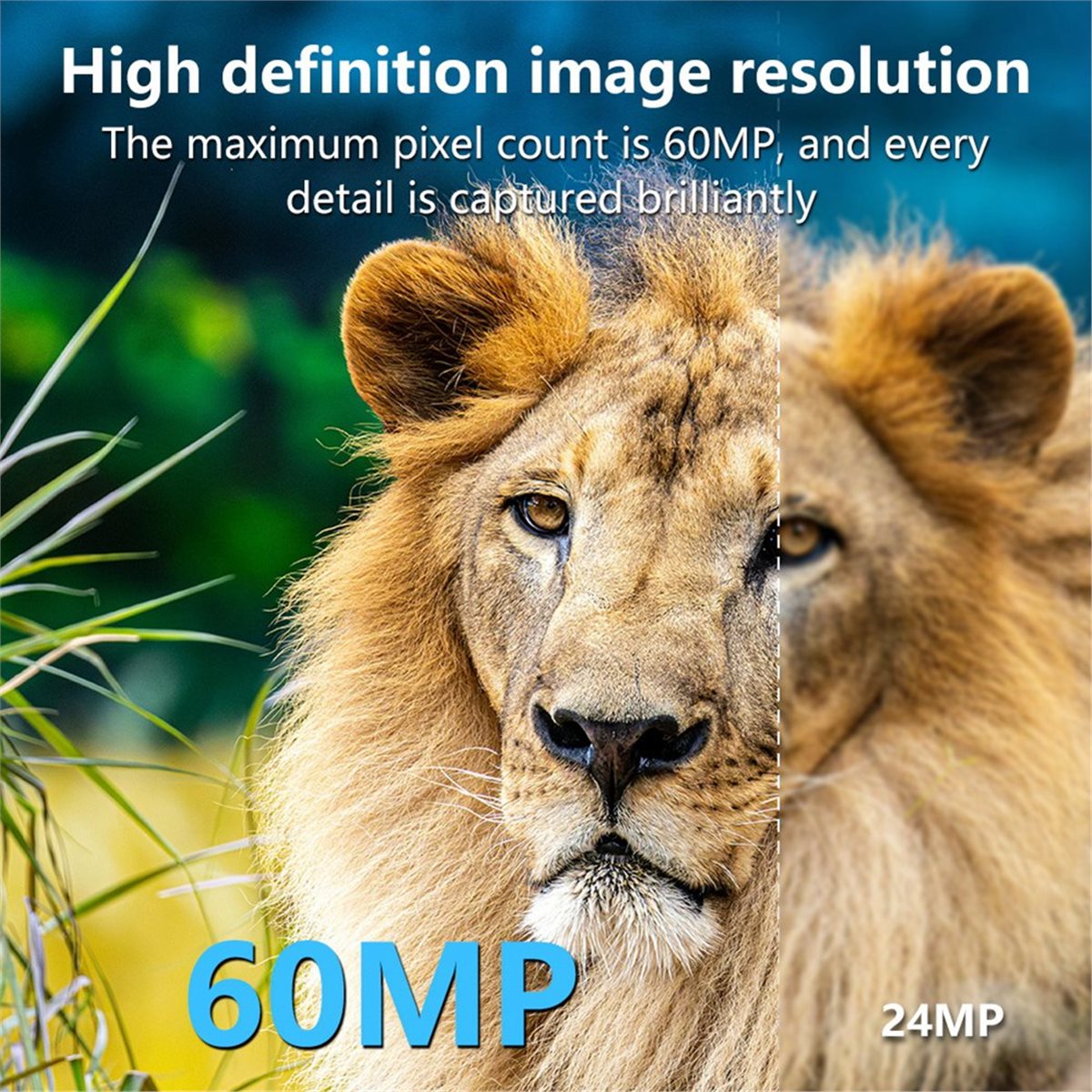 AS62 8K Hunting Camera HD Wild - Hunting Outdoor Rug recensione e prezzo
