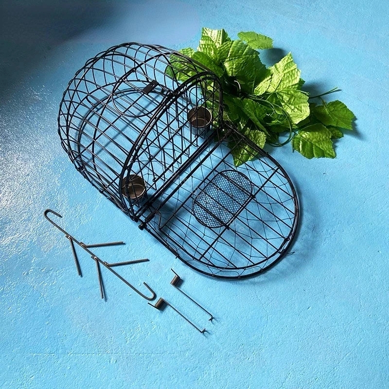 Bird Net Effective Humane Live - Hunting Quail recensione e prezzo