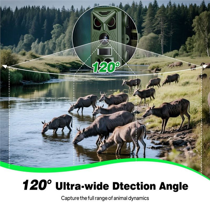 BTLIFE-Wildlife Surveillance 1 - Hunting Outdoor Camera recensione e prezzo