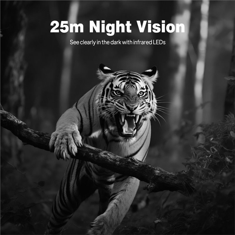 BTLIFE-Wildlife Surveillance 1 - Hunting Outdoor Camera recensione e prezzo