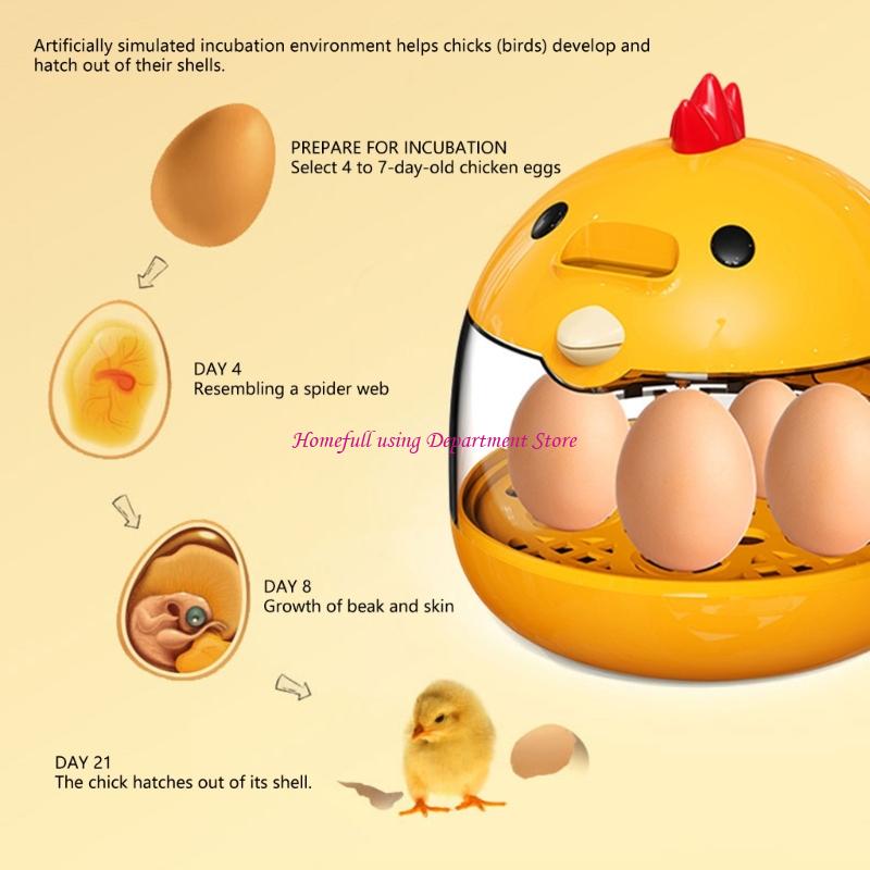 5 Eggs Quail Bird Incubator Ha - Hunting Quail recensione e prezzo