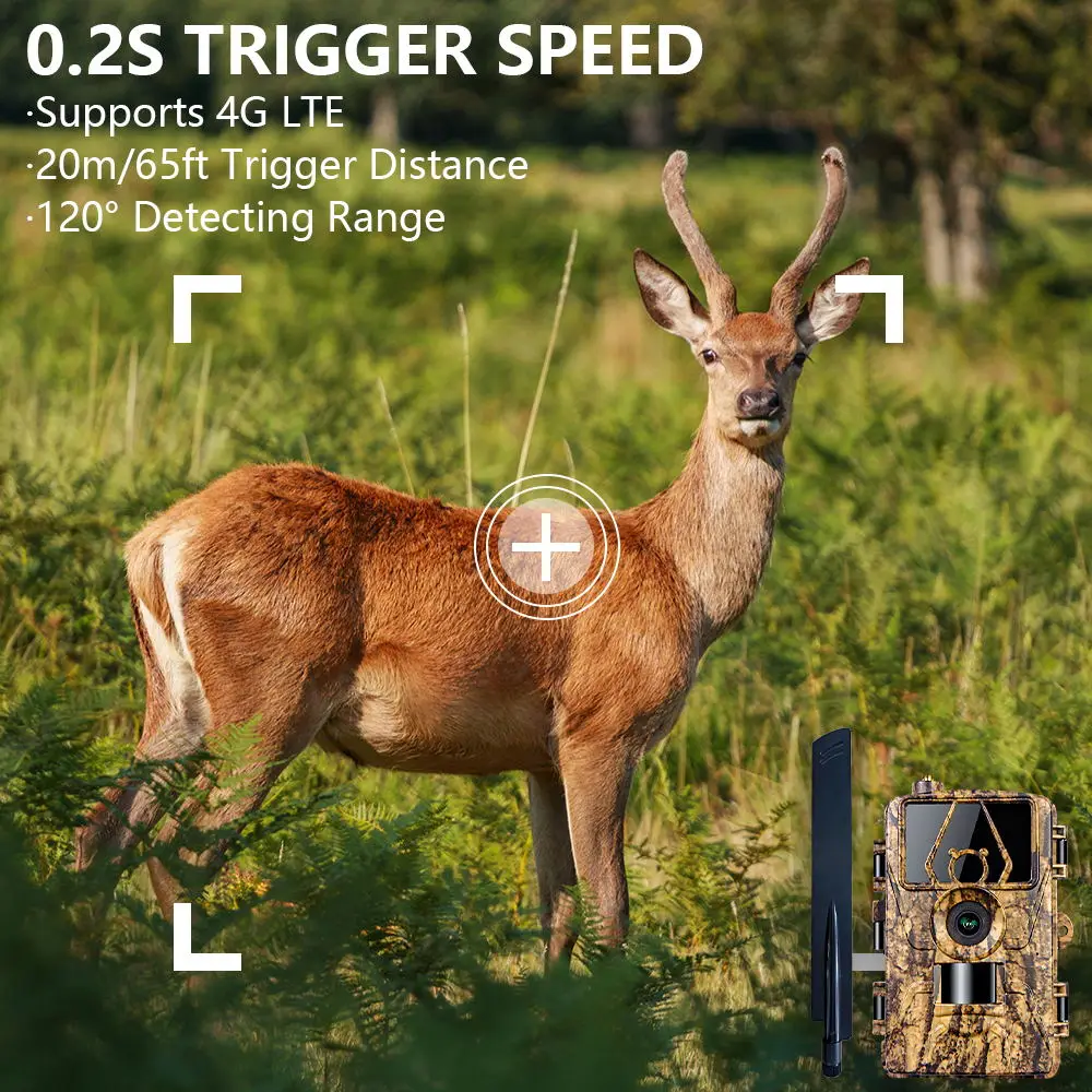 1Pcs HD8K Infrared Camera For  - Hunting Outdoor Camera recensione e prezzo