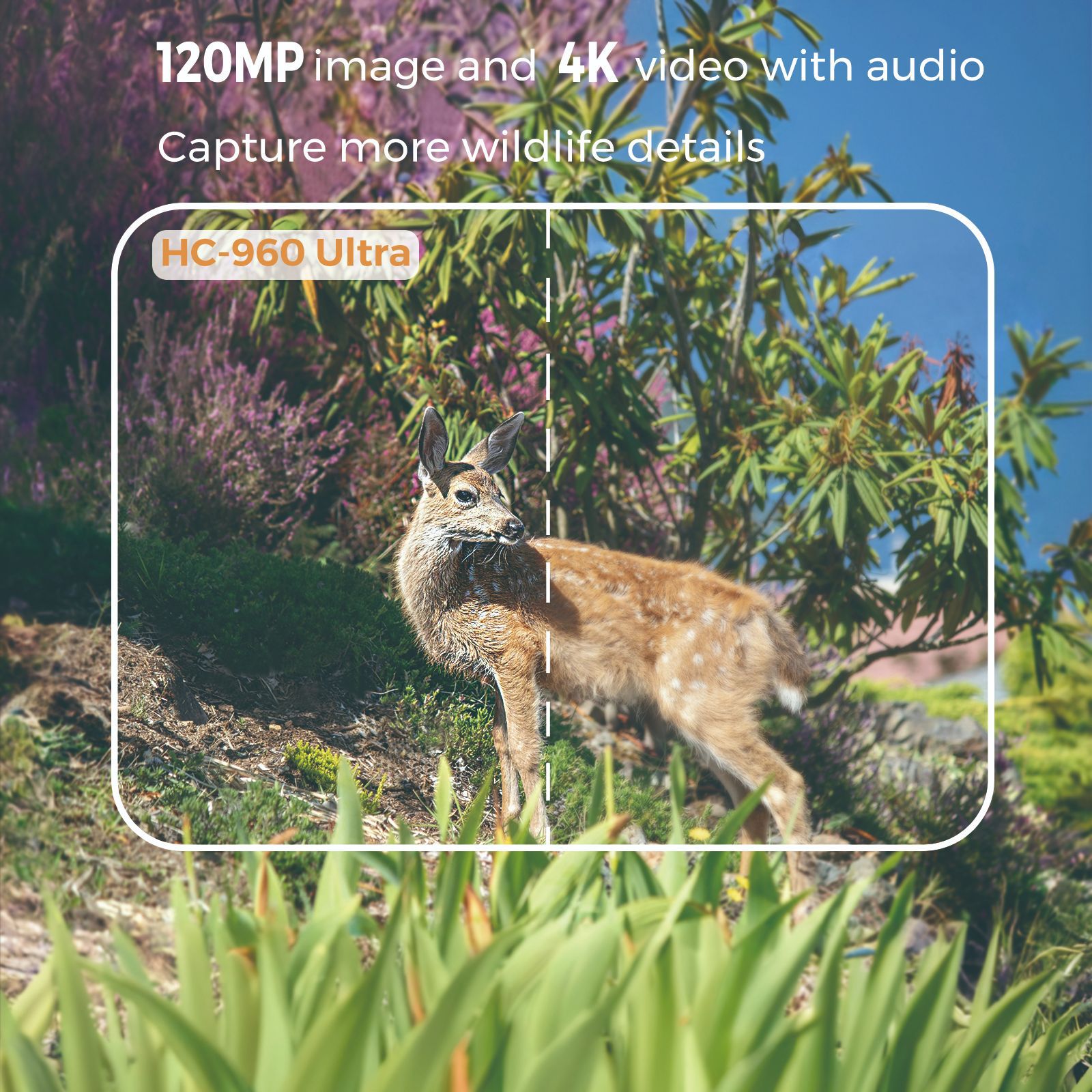 Outdoor 4K Video 120MP Photo 4 - Hunting Outdoor Camera recensione e prezzo