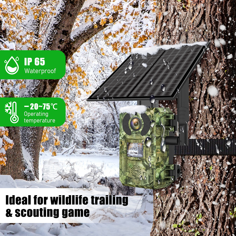 EU Band 4G Cellular LTE Live V - Hunting Outdoor Camera recensione e prezzo