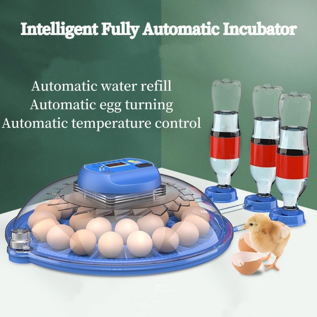 8 Egg Incubator Fully Automati - Hunting Quail recensione e prezzo