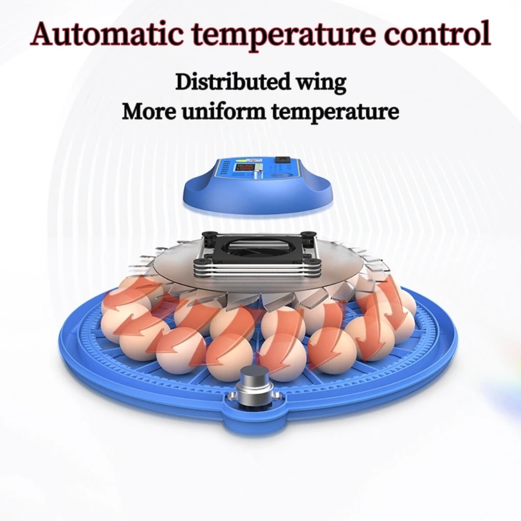 8 Egg Incubator Fully Automati - Hunting Quail recensione e prezzo