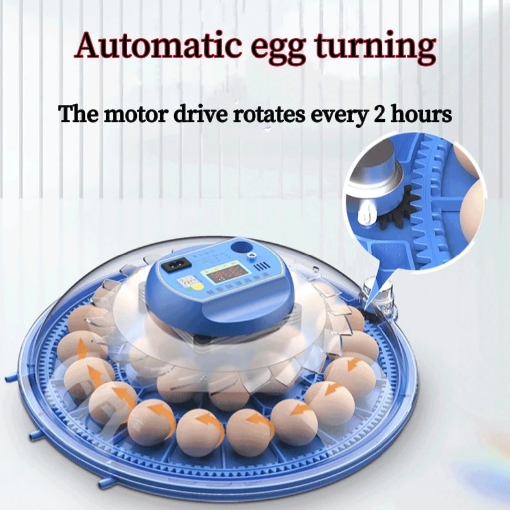 8 Egg Incubator Fully Automati - Hunting Quail recensione e prezzo
