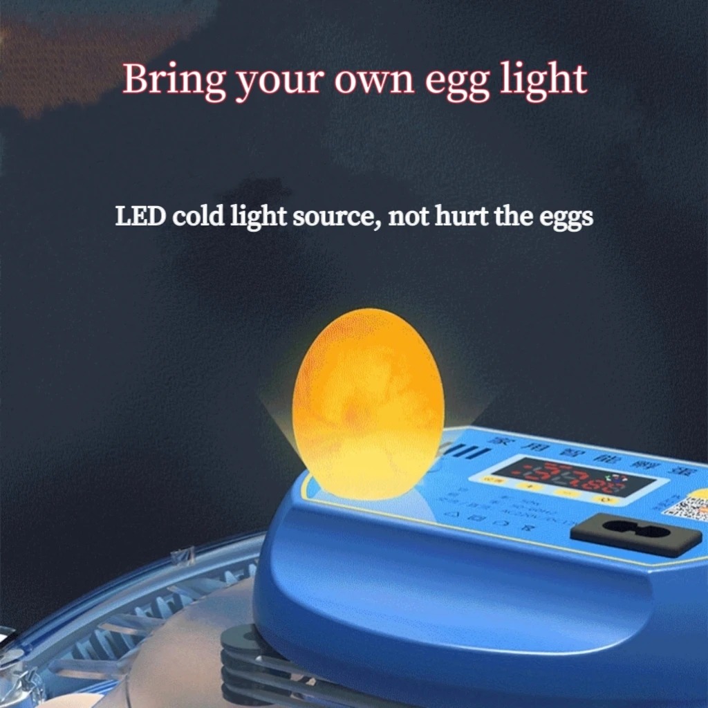 8 Egg Incubator Fully Automati - Hunting Quail recensione e prezzo