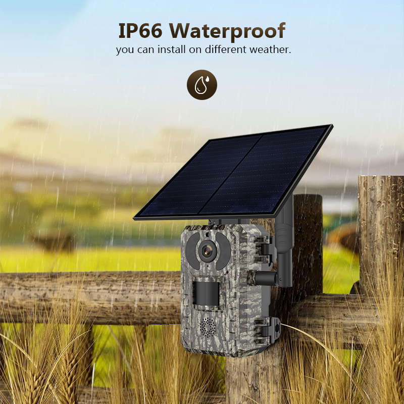 4G 4MP Outdoor Wildlife Huntin - Hunting Outdoor Camera recensione e prezzo