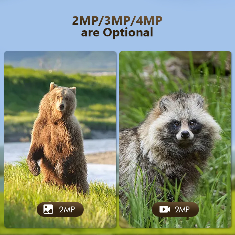 4G 4MP Outdoor Wildlife Huntin - Hunting Outdoor Camera recensione e prezzo