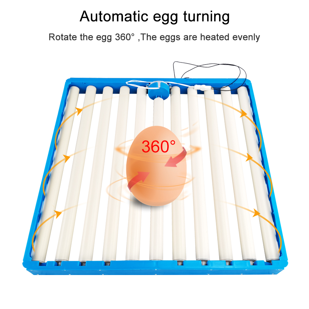70 Eggs Incubator Automatic 36 - Hunting Quail recensione e prezzo