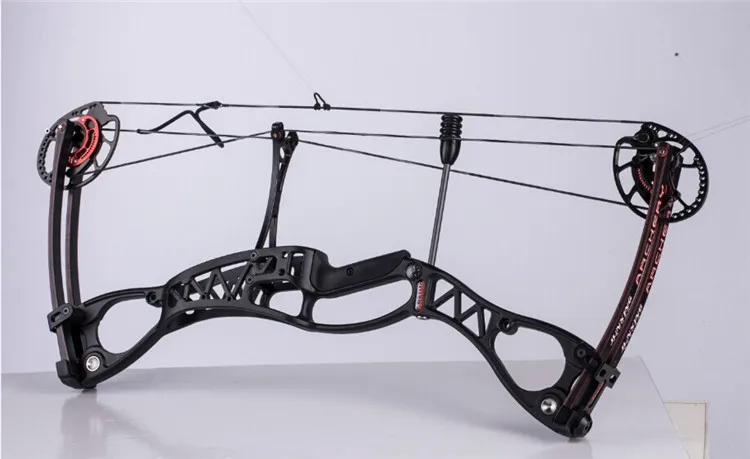 M122 Compound Bow for Hunting  - Hunting Fishing Outdoor recensione e prezzo